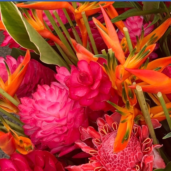 Meet your Posher, Heidi - Picture 1 of 1